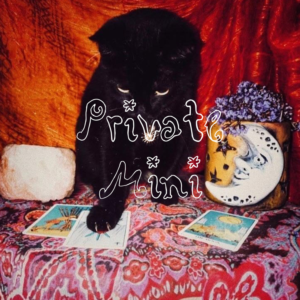 Private Reading - Mini